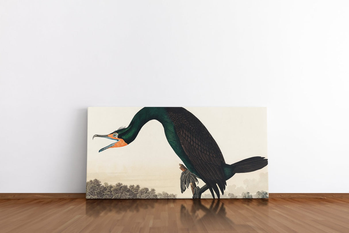 Remast_0274HiWiYF0cYBeN8_1280x1280.jpg