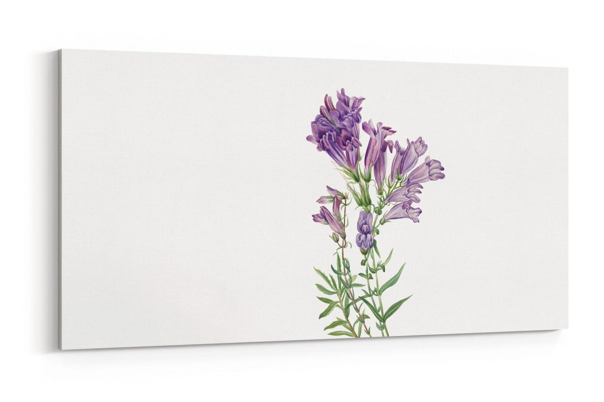 Remast_0551kRhih3My2I22o_1280x1280.jpg