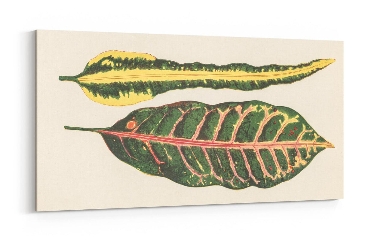 Remast_0609NrqkcKtAced6Z_1280x1280.jpg