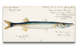 Remast_0851_1280x1280.jpg