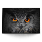 STOCKS_0360uJ8jhM30qiULm_1280x1280.jpg