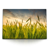 STOCKS_0538NKflKbOUDWLCT_1280x1280.jpg