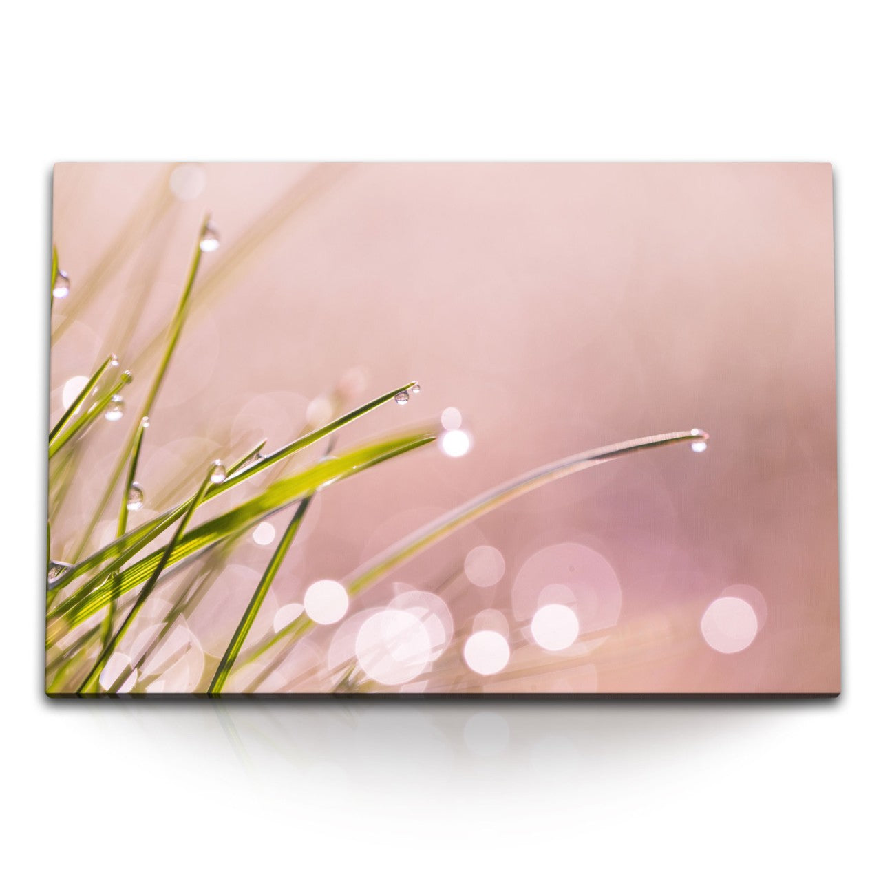 STOCKS_1094iUUV3XlI6vh3a_1280x1280.jpg