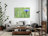 STOCKS_1415RCb22F2GbFhft_1280x1280.jpg