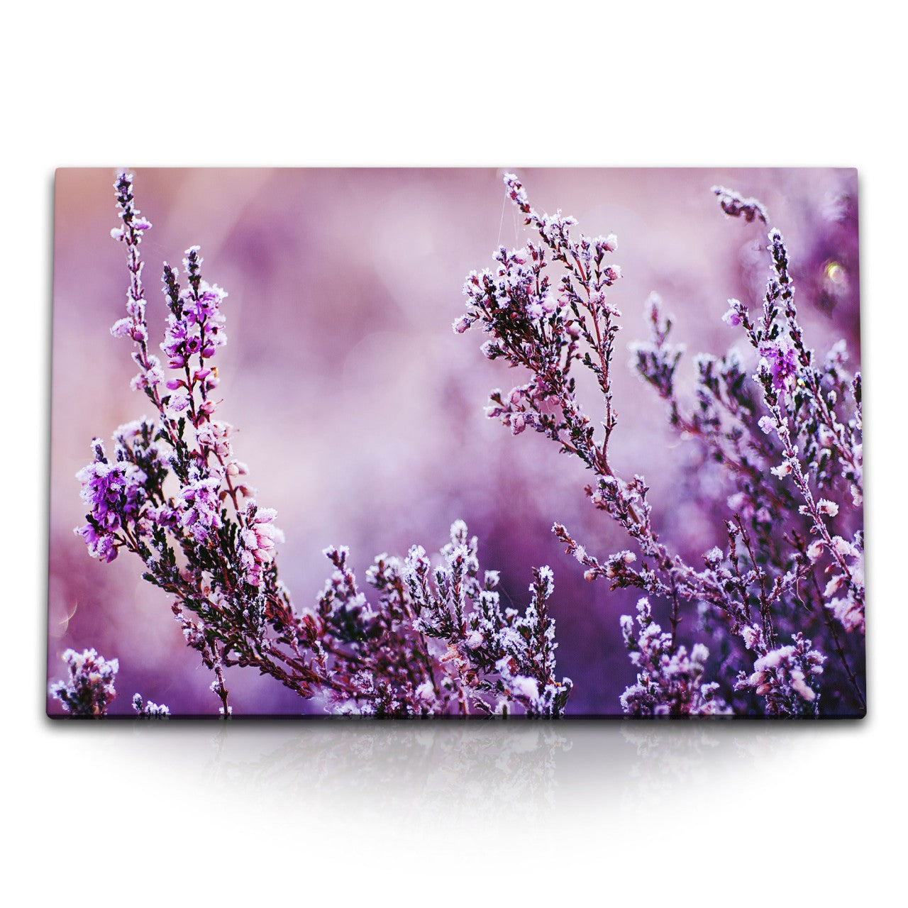 STOCKS_1537bEF5k6Kl9BxBg_1280x1280.jpg