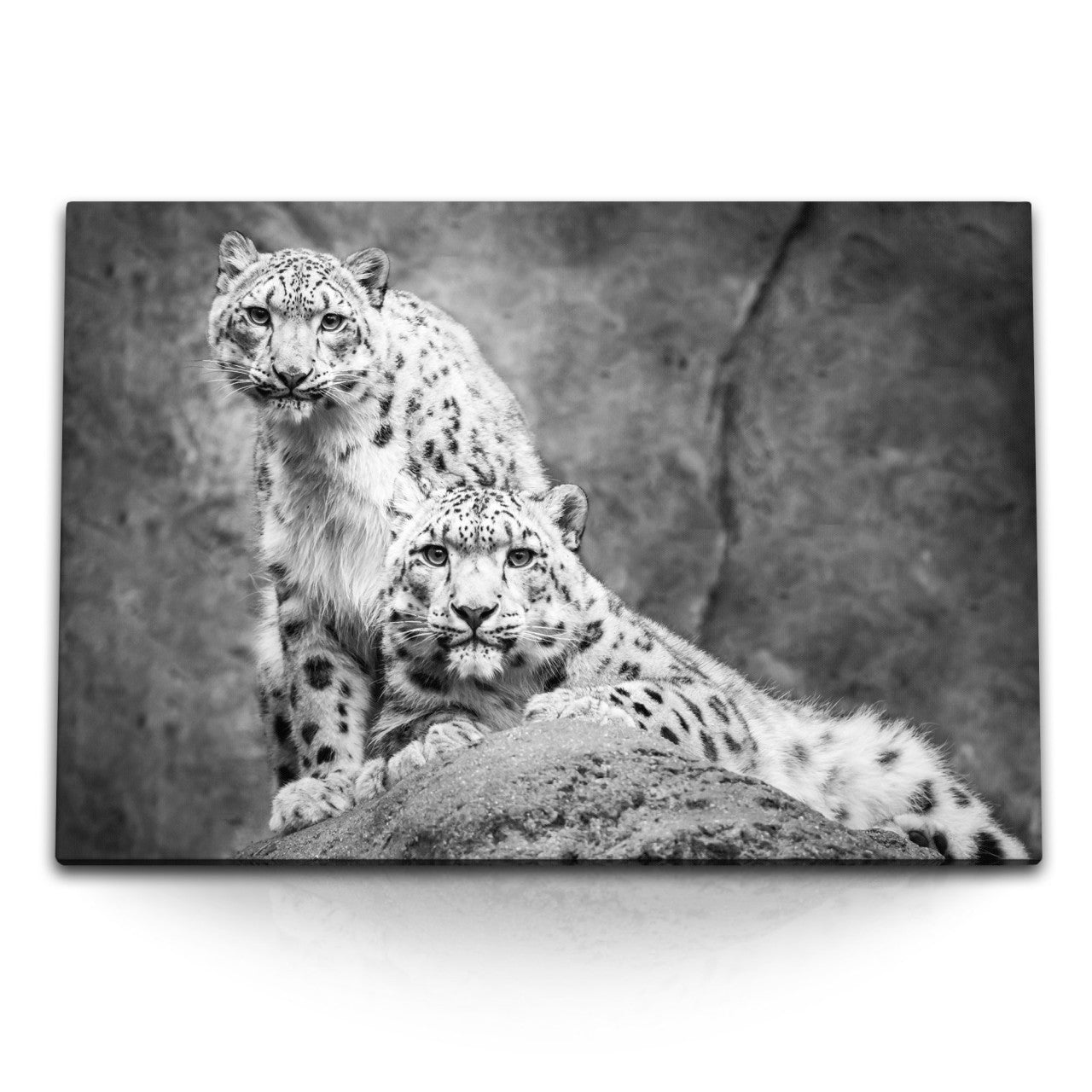 STOCKS_1591IntYGfX4aTbSm_1280x1280.jpg