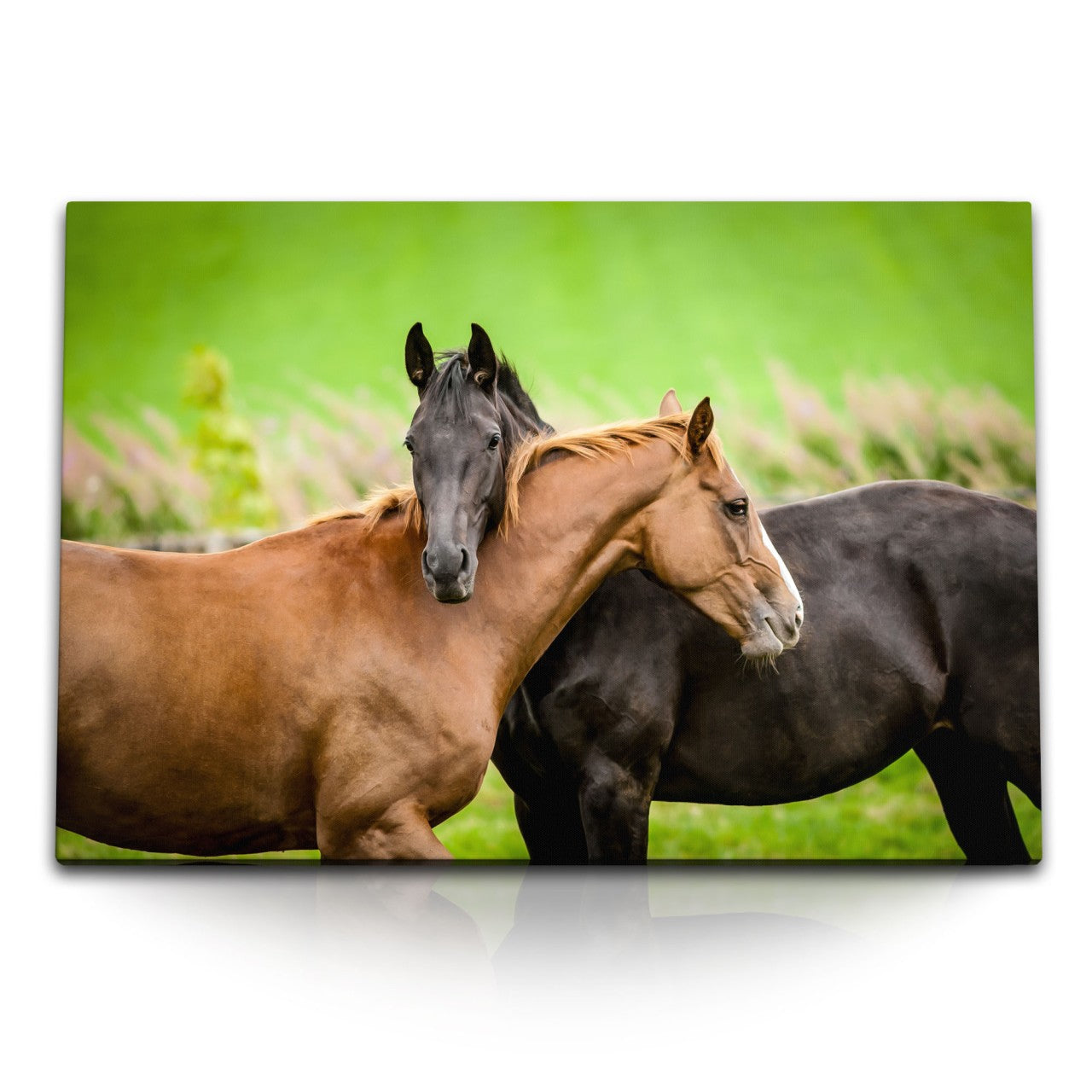 STOCKS_1594CnPdUbqy35iuH_1280x1280.jpg