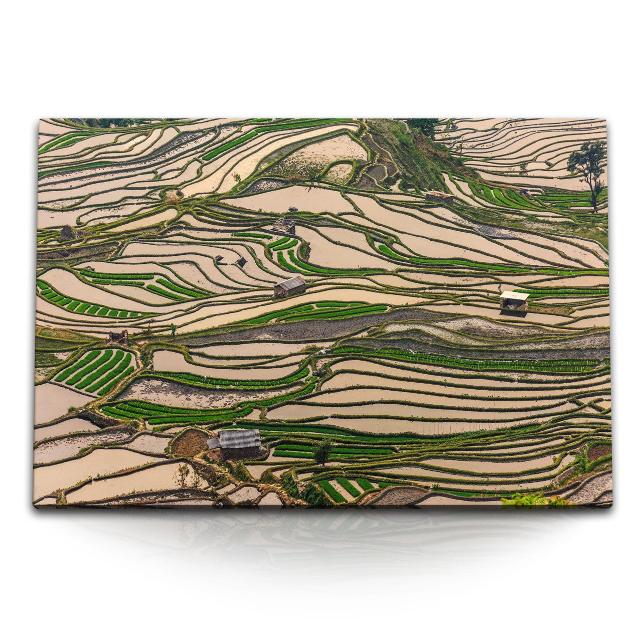 STOCKS_1796qG6v5Beyvkkz7_1280x1280.jpg