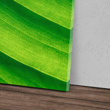 STOCKS_1859gJRiVy6tE3crZ_1280x1280.jpg