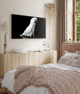 STOCKS_2027YFKwRS6G28KNN_1280x1280.jpg