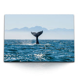 STOCKS_2198AvuUrLGXm2SMY_1280x1280.jpg