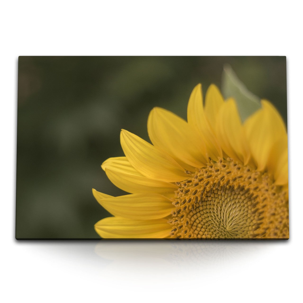 STOCKS_2240DPHCLGcR2XZXH_1280x1280.jpg