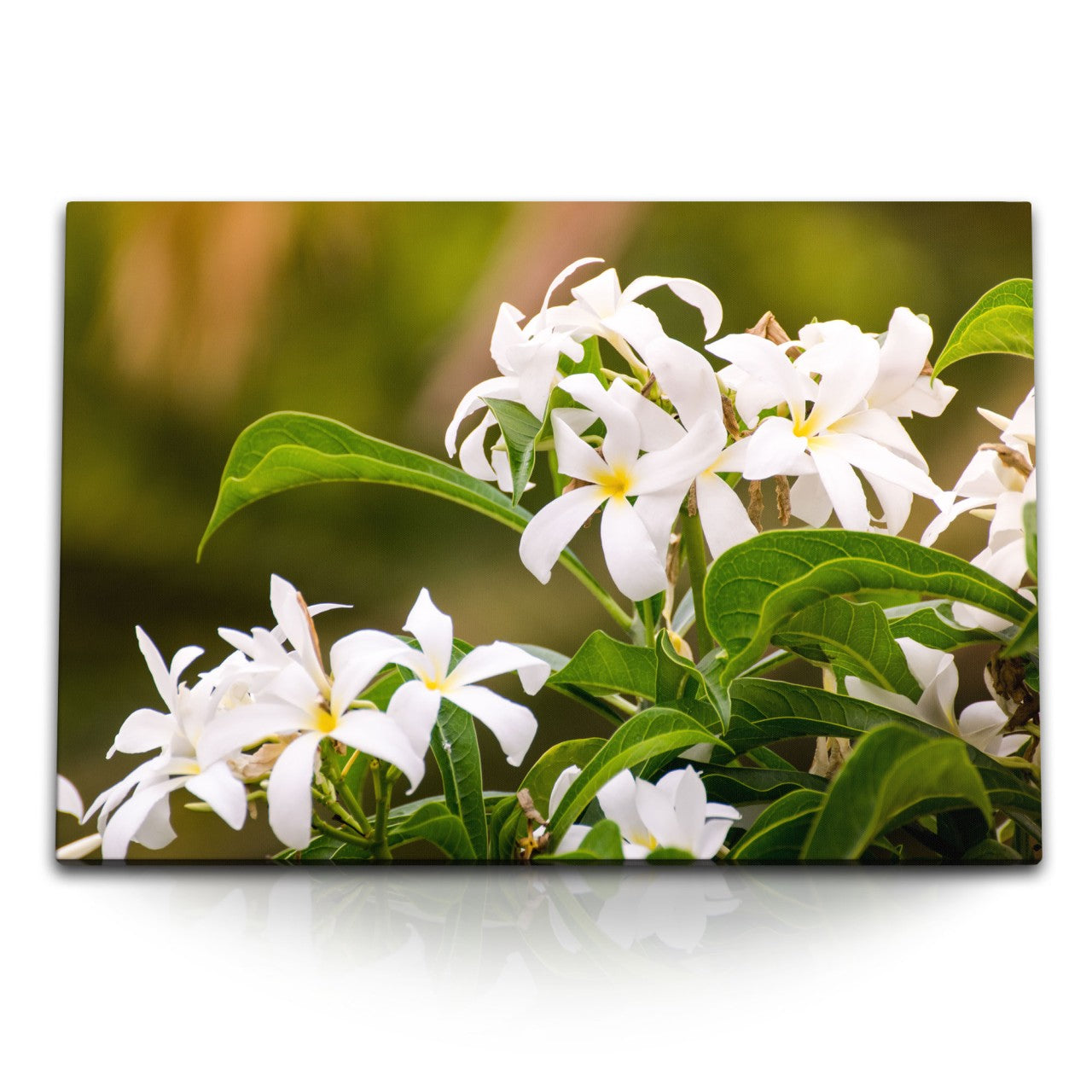 STOCKS_2312lrw3QaylqImdR_1280x1280.jpg