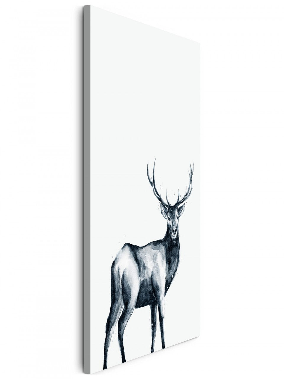 Tiere_04114F1XCQ2ubHMR_1280x1280.jpg