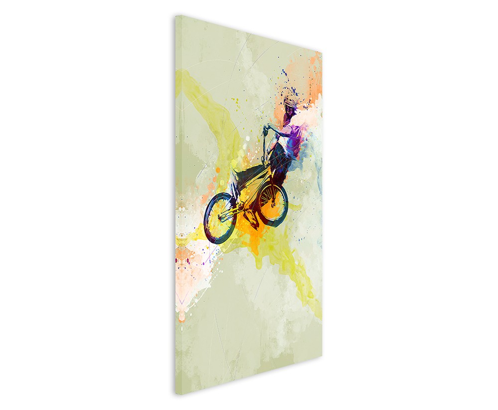 full_BMX_II_90x60cm_3d_1280x1280.jpg