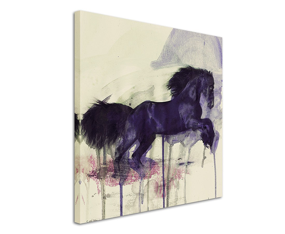 full_Black_Horse_60x60cm_3d_1280x1280.jpg