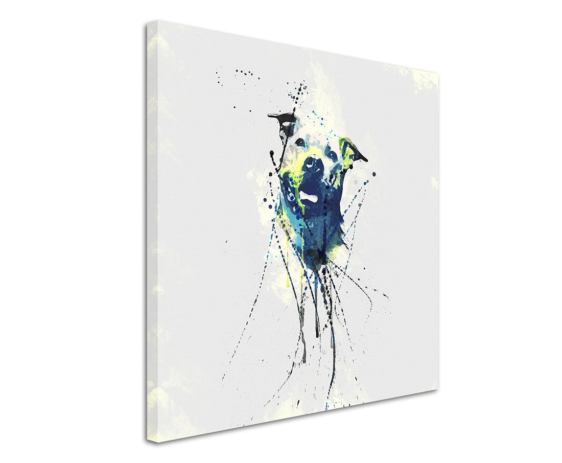 full_Pitbull_60x60cm_3d_1280x1280.jpg