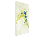 full_Speerweitwurf_90x60cm_3d_1280x1280.jpg