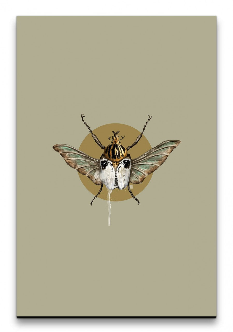Insekten_006_1280x1280.jpg