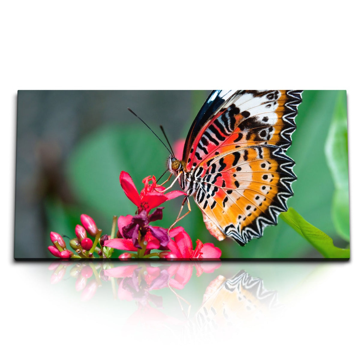 STOCKS_0398_1280x1280.jpg