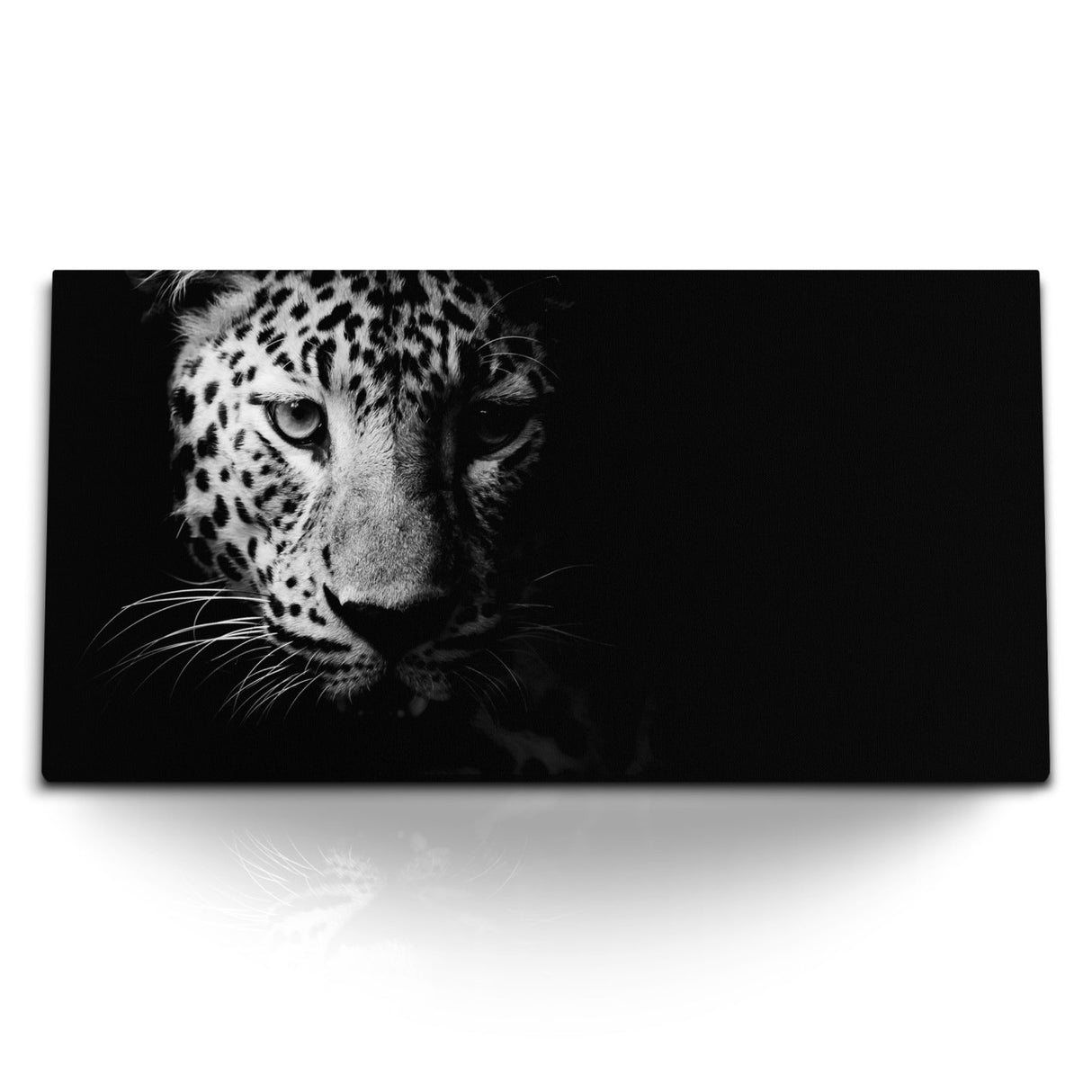 STOCKS_1000_1280x1280.jpg
