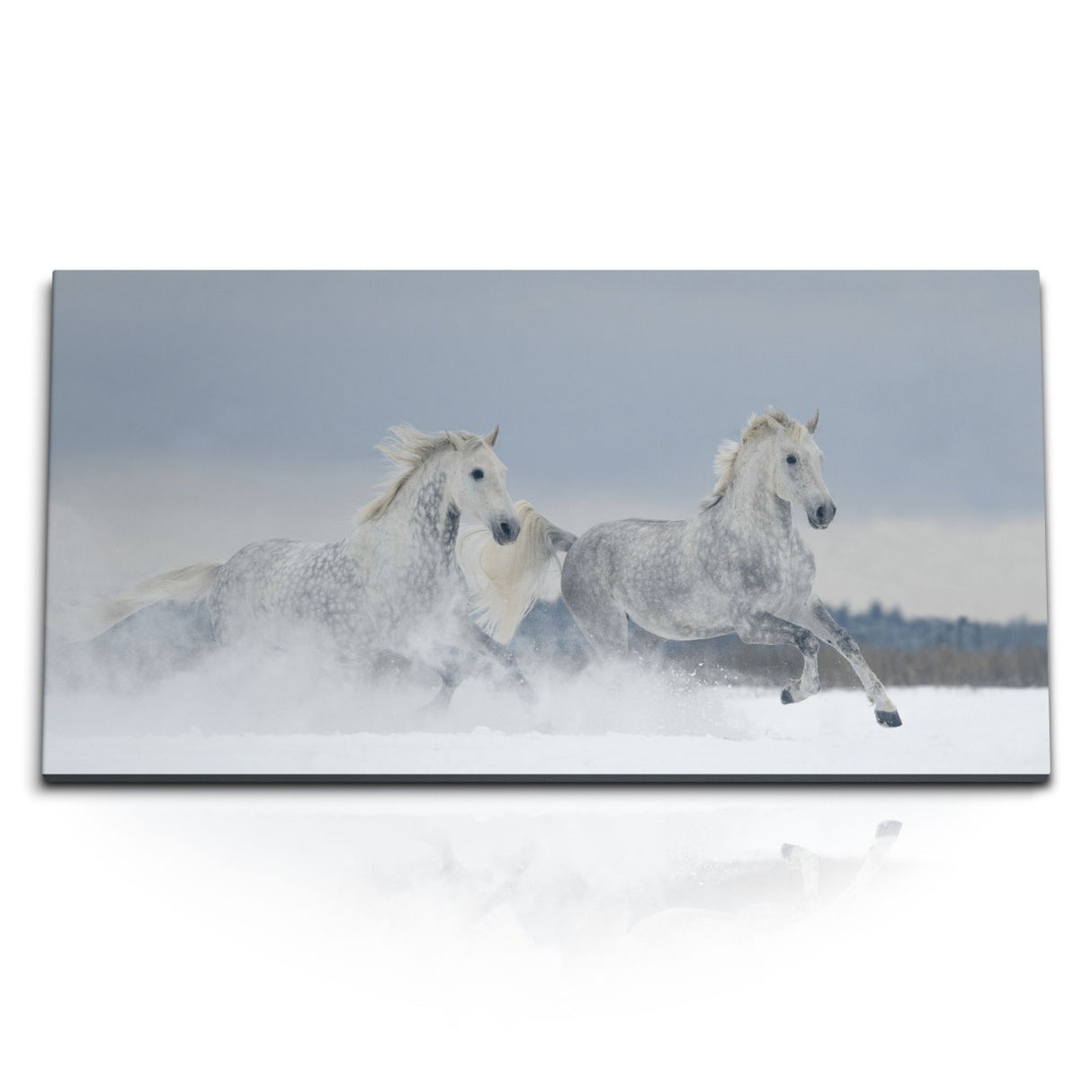 STOCKS_1775_1280x1280.jpg