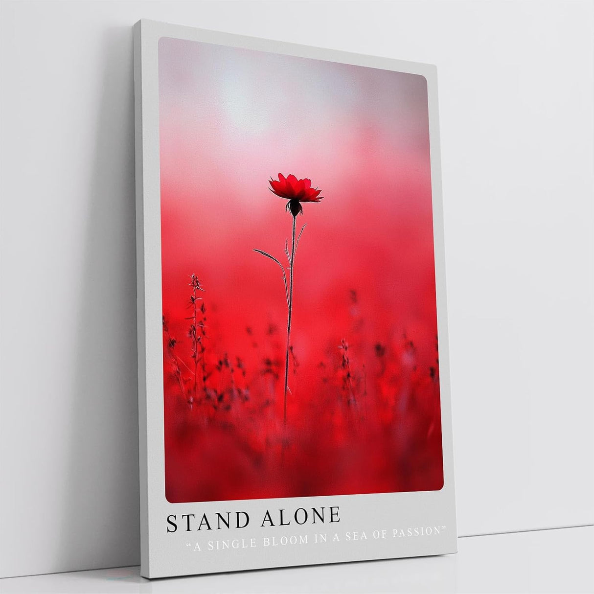 Paul Sinus Leinwandbild 60x90cm Stand Alone – Blume, Natur, Rot, Leidenschaft, Einsamkeit, Schönheit, Minimalismus, Kunst, Fotografie, Eleganz