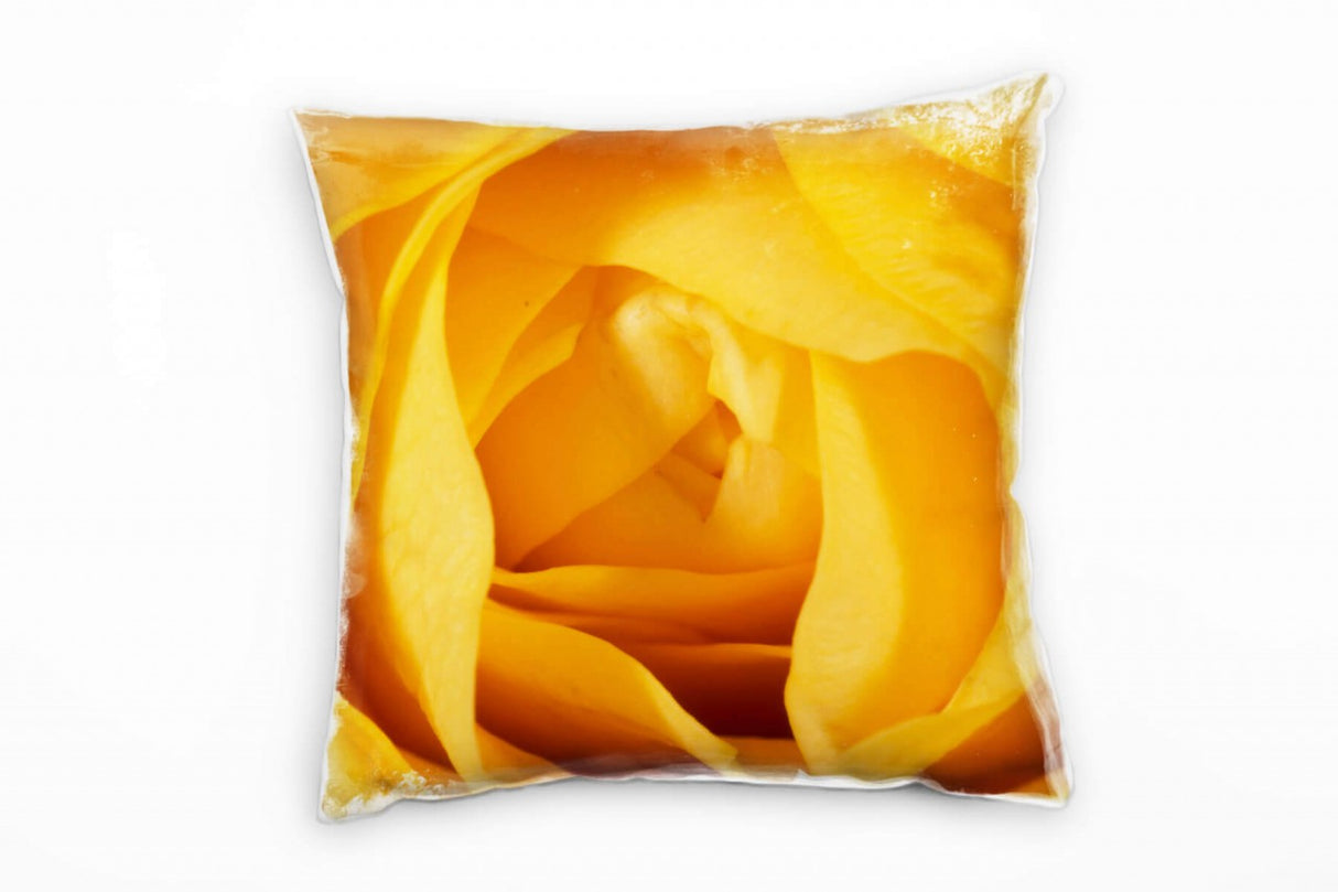 555085438_1280x1280.jpg