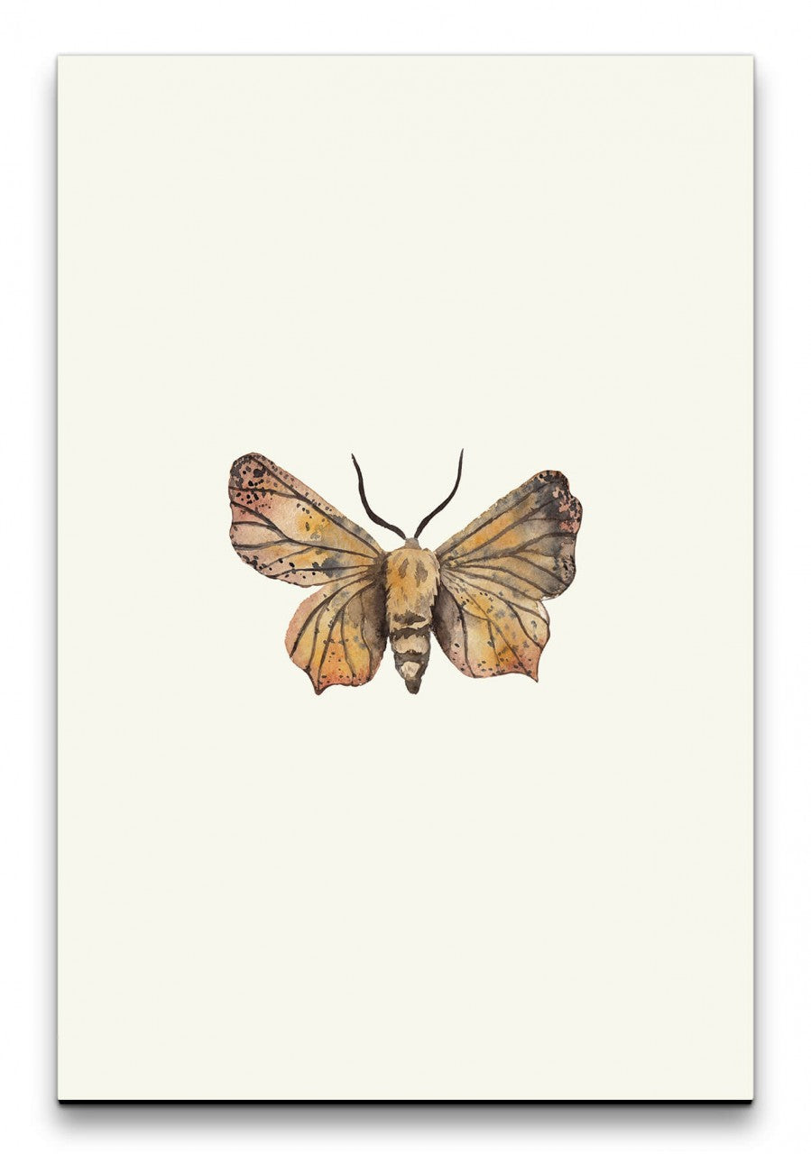 Insekten_033_1280x1280.jpg