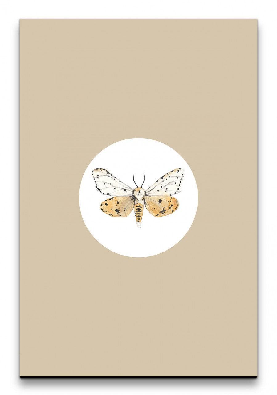 Insekten_004_1280x1280.jpg