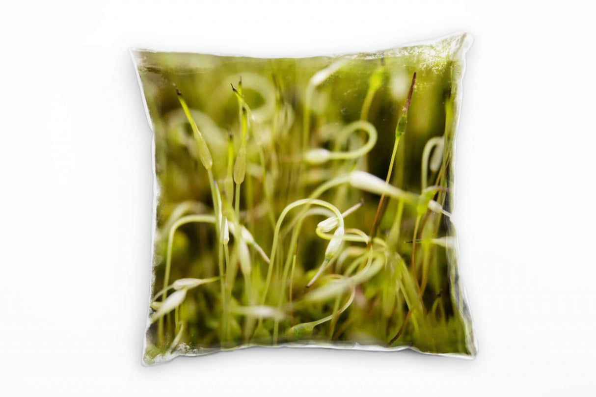 616101203_1280x1280.jpg