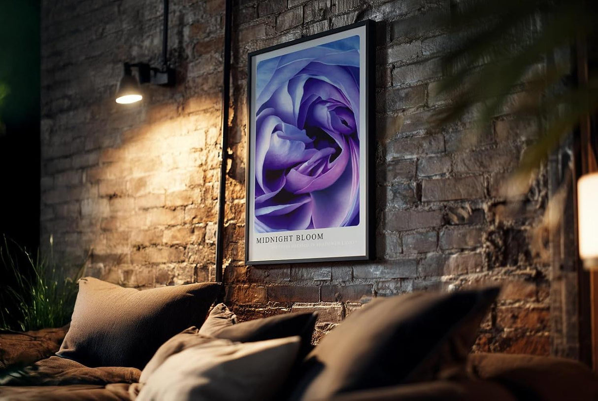 Paul Sinus Kunstdruck 40x60cm Blume Makro Blau Lila Rose Dunkelheit Lichtspiel Midnight Bloom