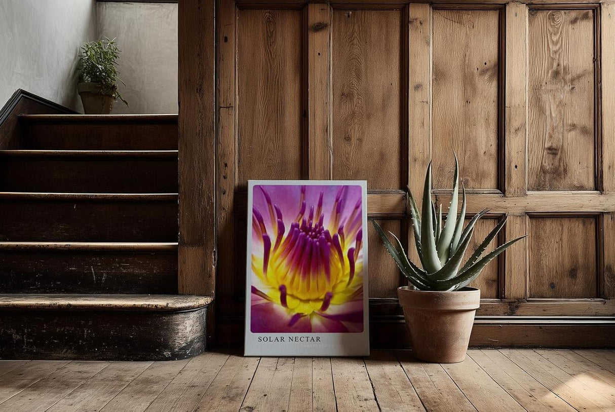 Paul Sinus Kunstdruck 40x60cm Blume Makro Gelb Pink Lila Lotus Blüte Solar Nectar