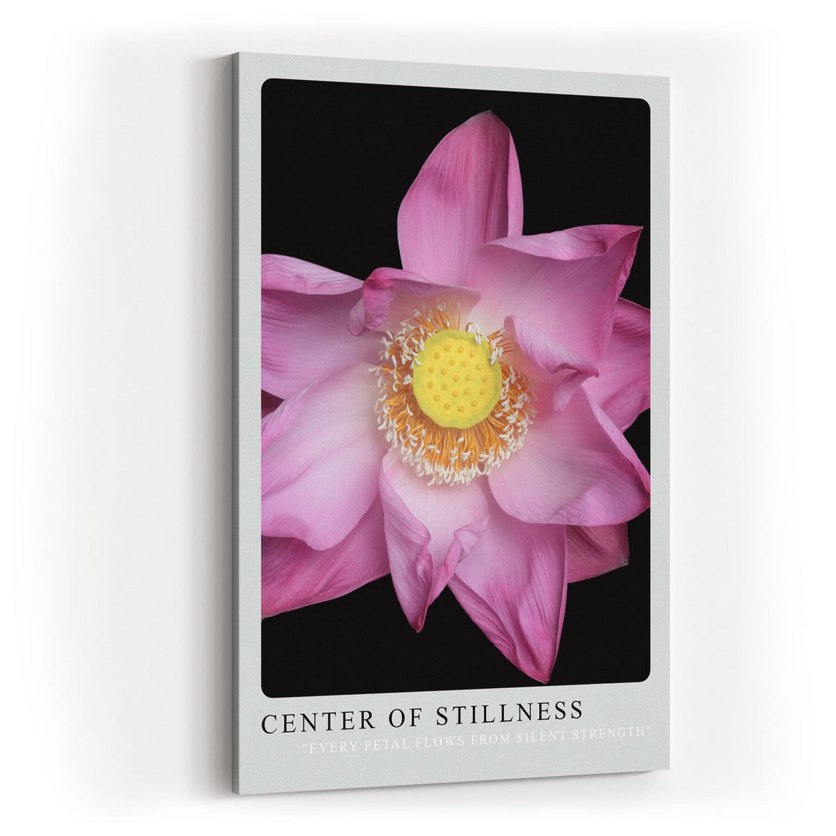 Paul Sinus Kunstdruck 40x60cm Center of Stillness Lotusblüte in zartem Rosa mit gelber Mitte