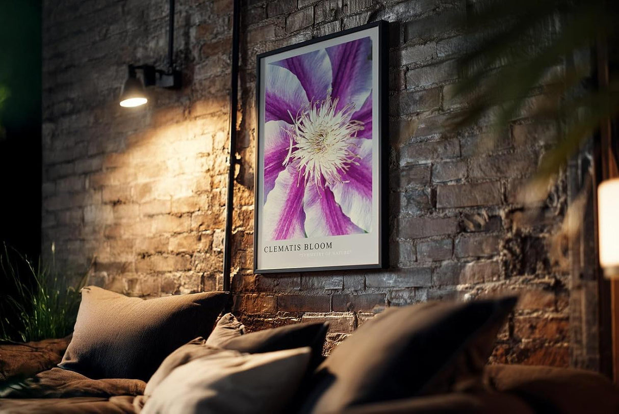 Paul Sinus Kunstdruck 40x60cm Clematis Bloom – violett-weiße Blüte in symmetrischer Komposition mit Fokus auf Zentrum