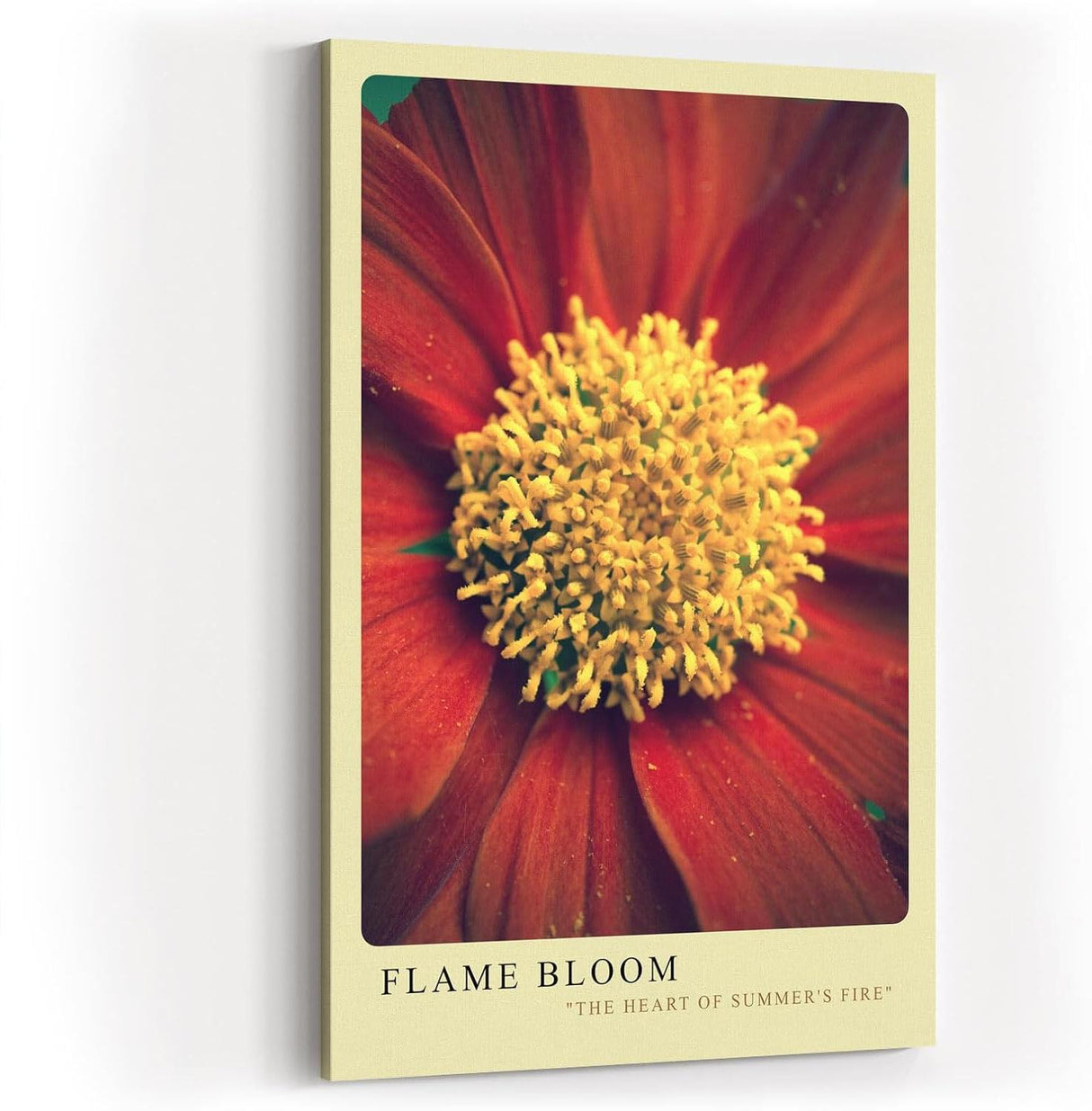 Paul Sinus Kunstdruck 40x60cm Flame Bloom – Sommerliche Blütenkraft in Nahaufnahme