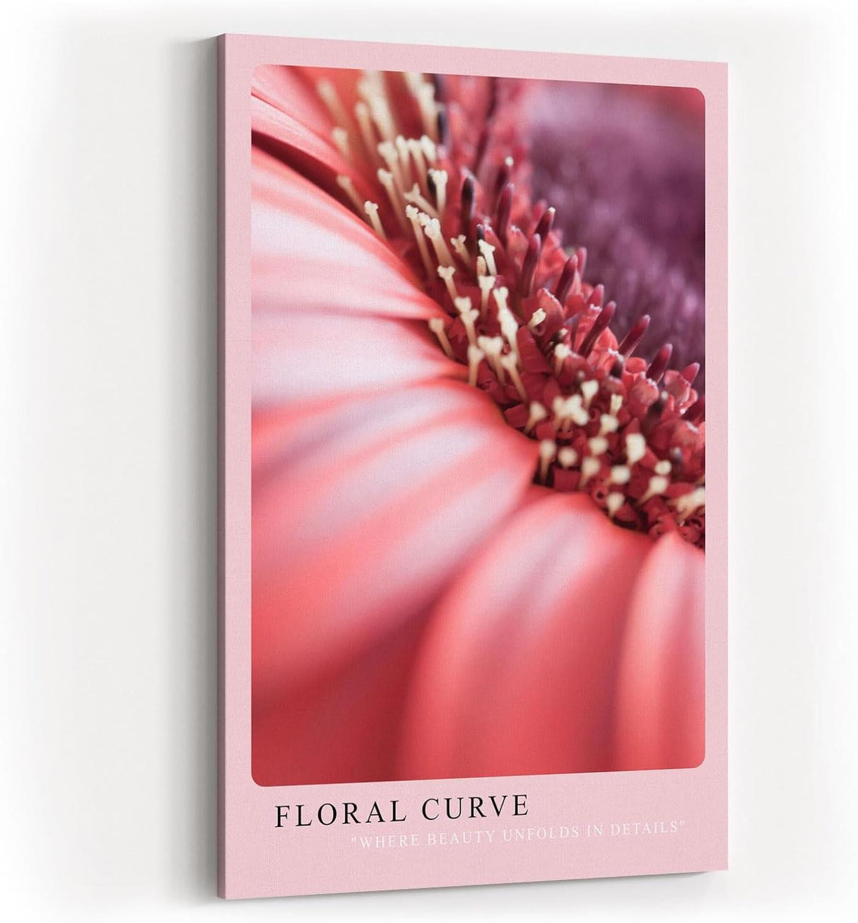 Paul Sinus Kunstdruck 40x60cm Floral Curve mit Makroaufnahme einer rosa Blüte in sanfter Kurve