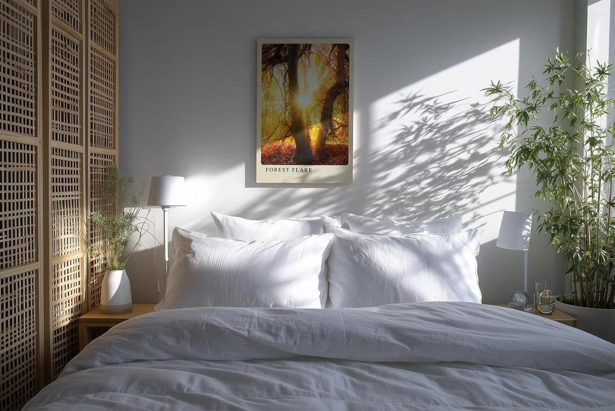 Paul Sinus Kunstdruck 40x60cm Forest Flare – Sonnenstrahlen im goldenen Herbstwald mit leuchtendem Laub