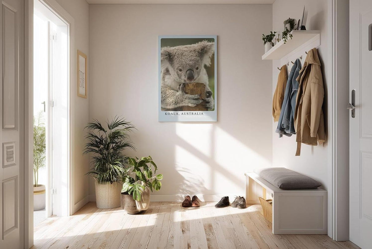 Paul Sinus Kunstdruck 40x60cm Koala Australia – Sanfter Koala in Nahaufnahme als Symbol für Ruhe und Naturverbundenheit