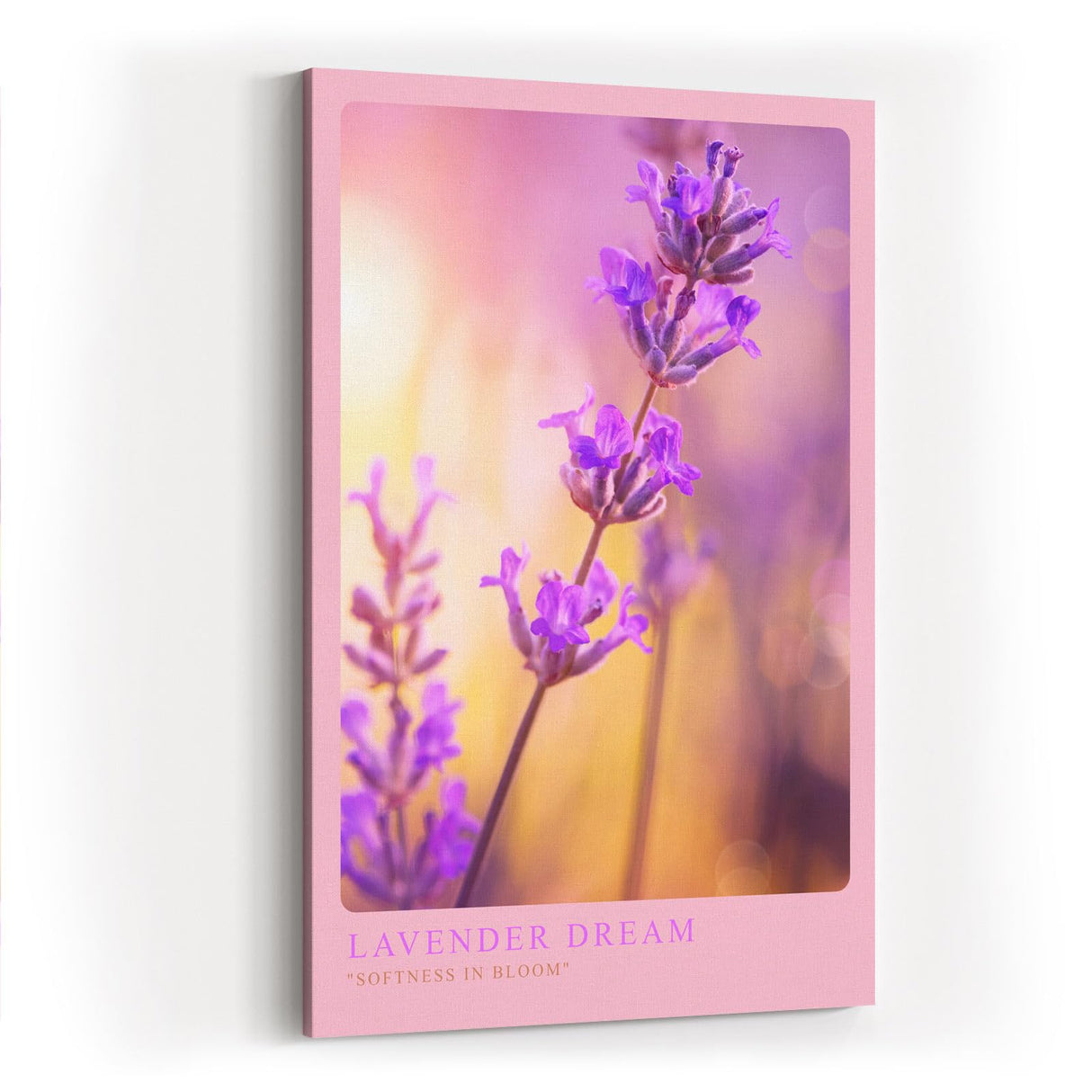 Paul Sinus Kunstdruck 40x60cm Lavender Dream Lavendelblüte in zarten Farben mit weichem Licht und Bokeh