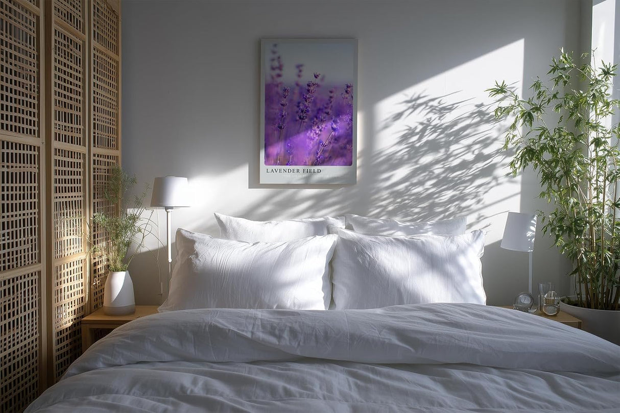 Paul Sinus Kunstdruck 40x60cm Lavender Field – Nahaufnahme blühender Lavendelzweige im Sommerlicht