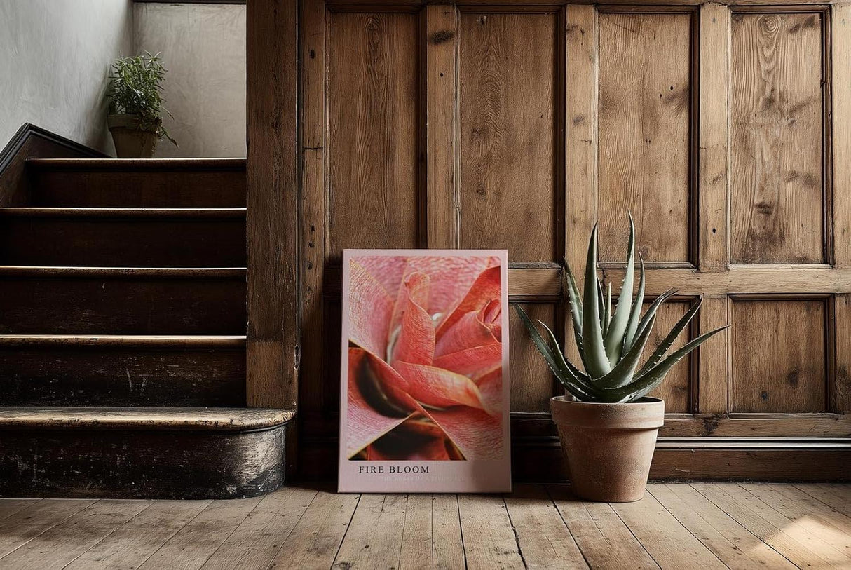 Paul Sinus Kunstdruck 40x60cm Pflanze Makro Rot Struktur Natur Tropisch Fire Bloom