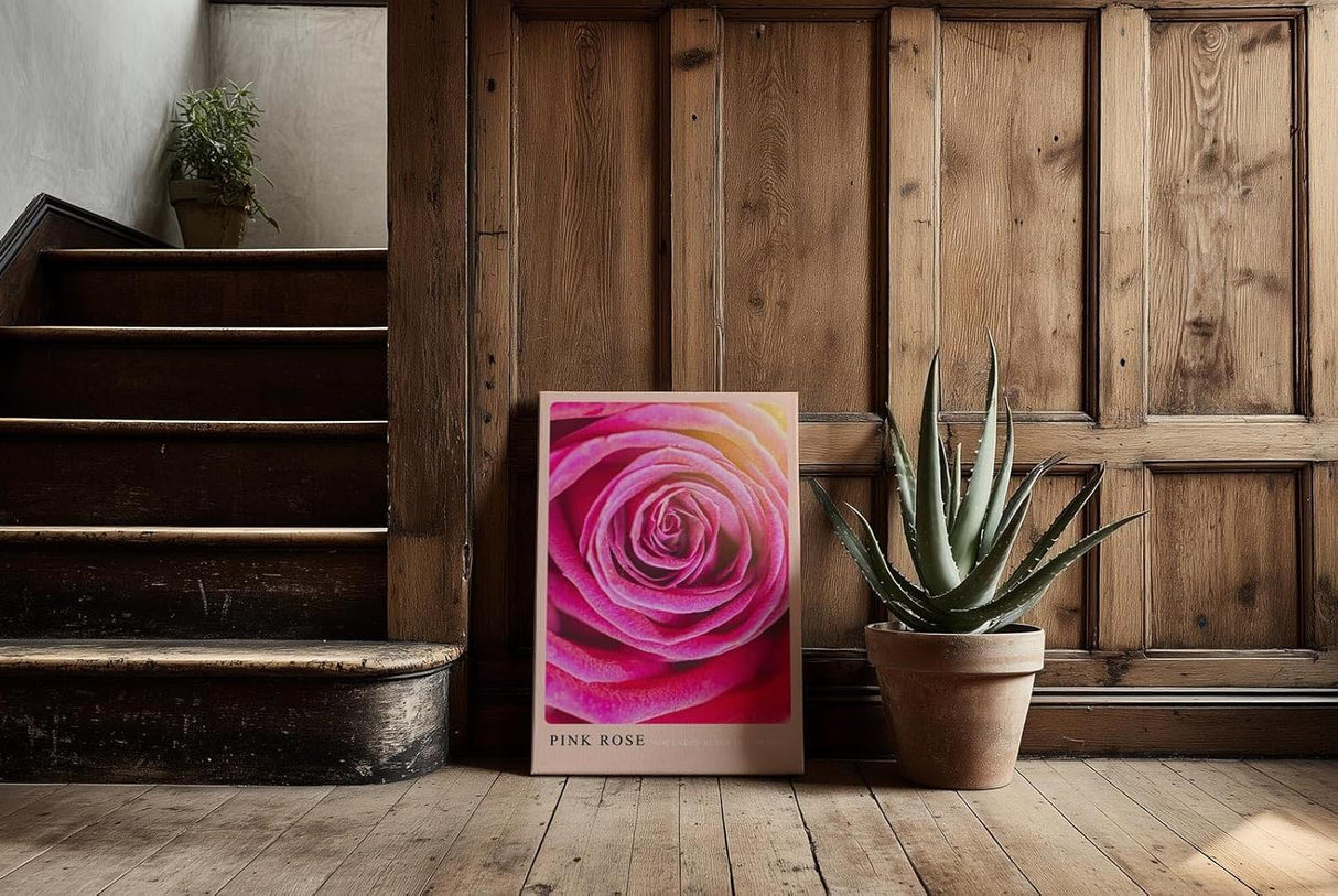 Paul Sinus Kunstdruck 40x60cm Pink Rose Nahaufnahme Blüte Rosa Makro Blume Romantik