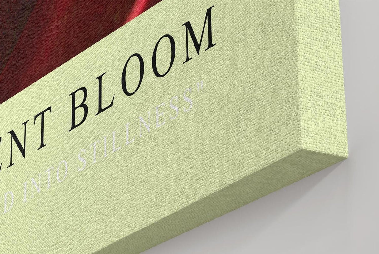 Paul Sinus Kunstdruck 40x60cm Red Succulent Bloom – Feuerrote Sukkulente in Nahaufnahme als modernes Kunstwerk