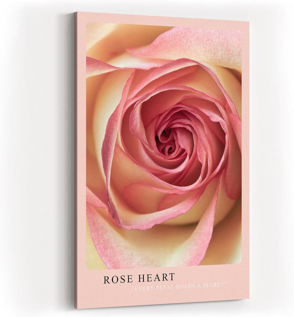 Paul Sinus Kunstdruck 40x60cm Rose Heart – Die Poesie der Rose in zartem Zentrum