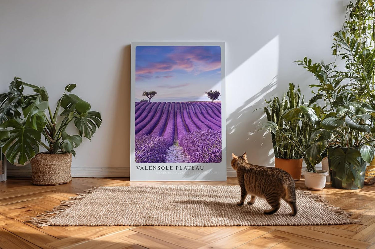 Paul Sinus Kunstdruck 40x60cm Valensole Plateau Lavendelfelder Provence Reihen Himmel Sommerfarben
