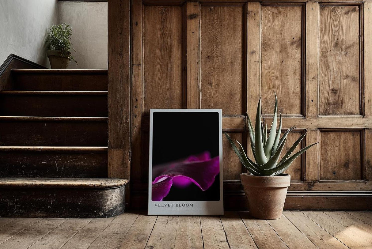 Paul Sinus Kunstdruck 40x60cm Velvet Bloom – samtige Blütenform in dunklem Violett auf Schwarz