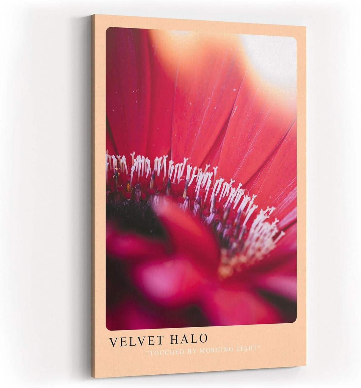 Paul Sinus Kunstdruck 40x60cm Velvet Halo – zartes Blütenmotiv in weichem Licht und samtiger Atmosphäre