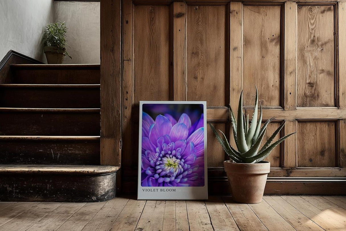 Paul Sinus Kunstdruck 40x60cm Violette Blüte in Nahaufnahme – florales Farbspiel in Lila und Weiß