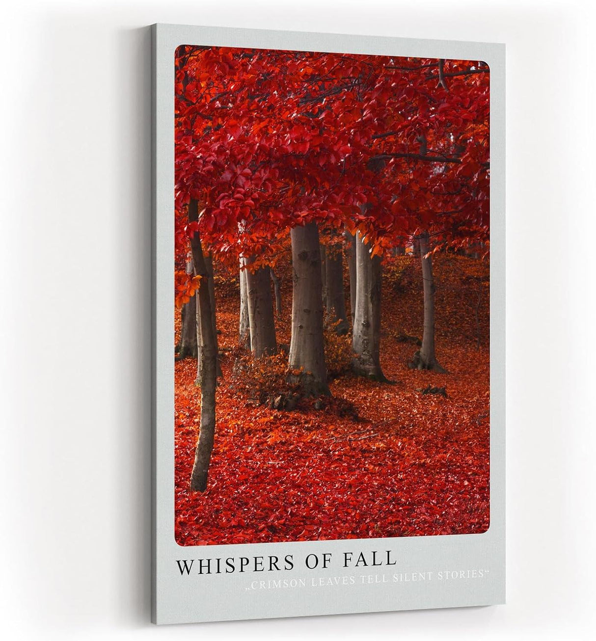 Paul Sinus Kunstdruck 40x60cm Whispers of Fall mit rotem Herbstwald und Laubteppich
